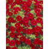 Million bells rouge (Pot de 24 cm à 3 plantes)